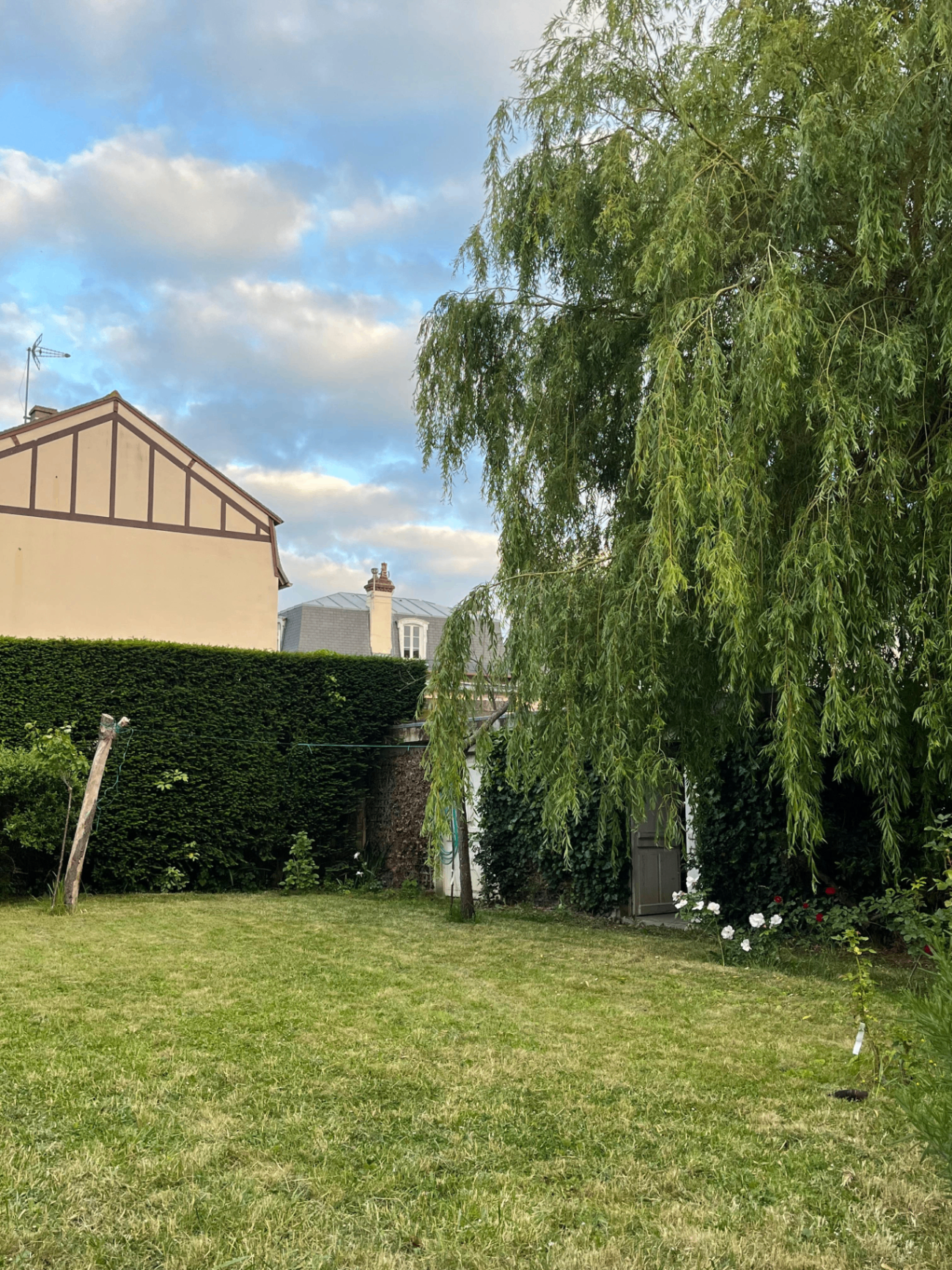 Jardin avec saule pleureur